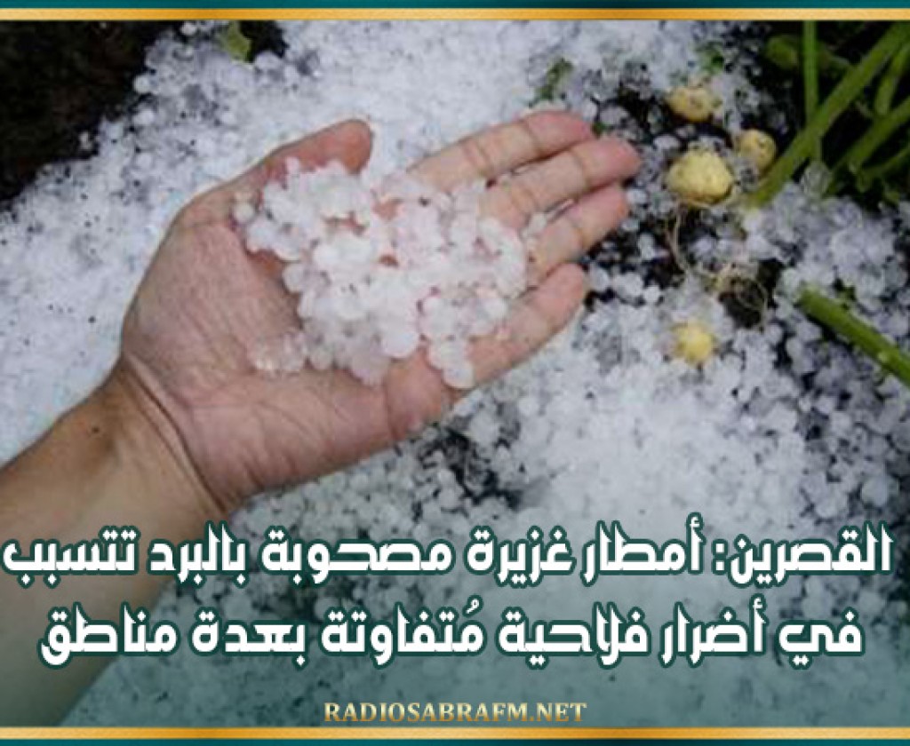 القصرين: أمطار غزيرة مصحوبة بالبرد تتسبب في أضرار فلاحية مُتفاوتة بعدة مناطق