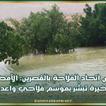 رئيس اتحاد الفلاحة بالقصرين: الأمطار الأخيرة تبشّر بموسم فلاحي واعد