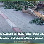 القصرين: الرياح القوية تخلف أضرارا فلاحية بعدد من المناطق وتدخلات عاجلة لإزالة مخلفاتها