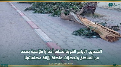 القصرين: الرياح القوية تخلف أضرارا فلاحية بعدد من المناطق وتدخلات عاجلة لإزالة مخلفاتها