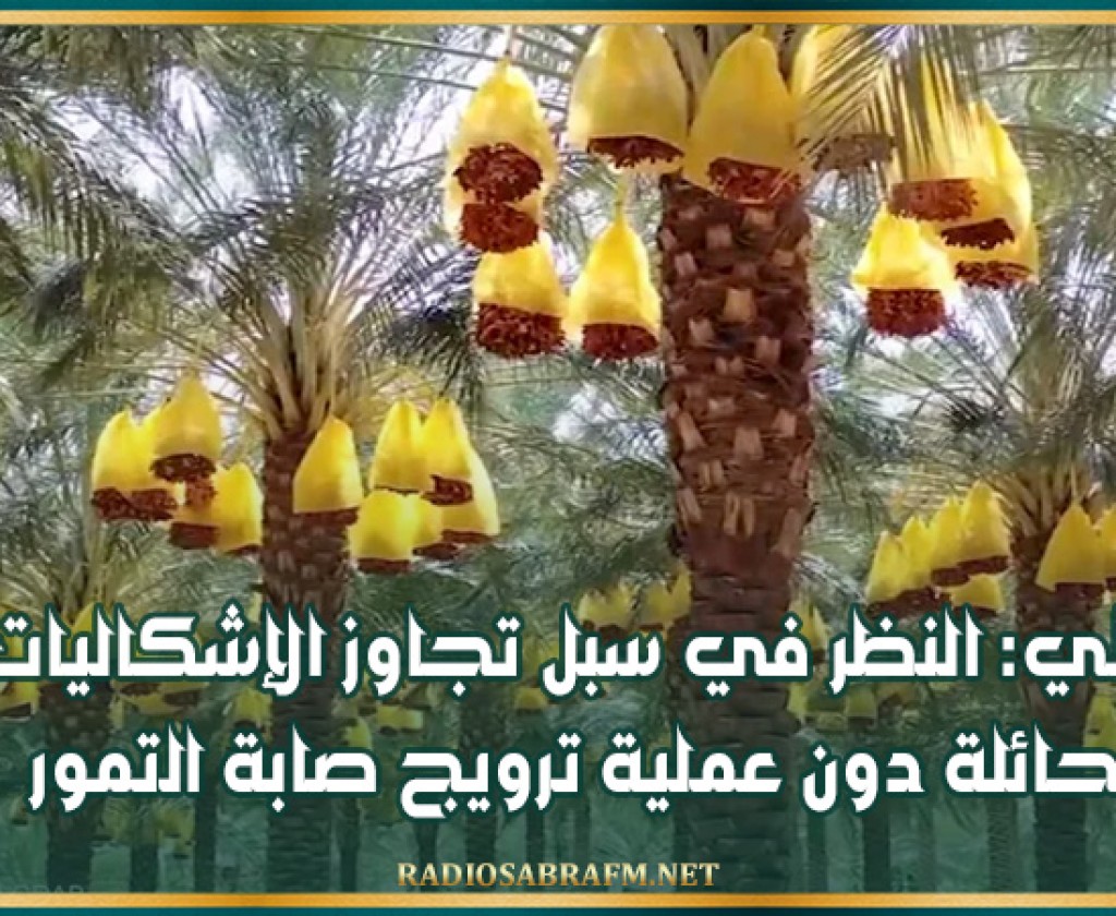 قبلي: النظر في سبل تجاوز الإشكاليات الحائلة دون عملية ترويج صابة التمور