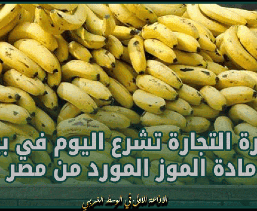 اليوم.. الشروع في بيع الموز المورد من مصر بسعر 5 دنانير