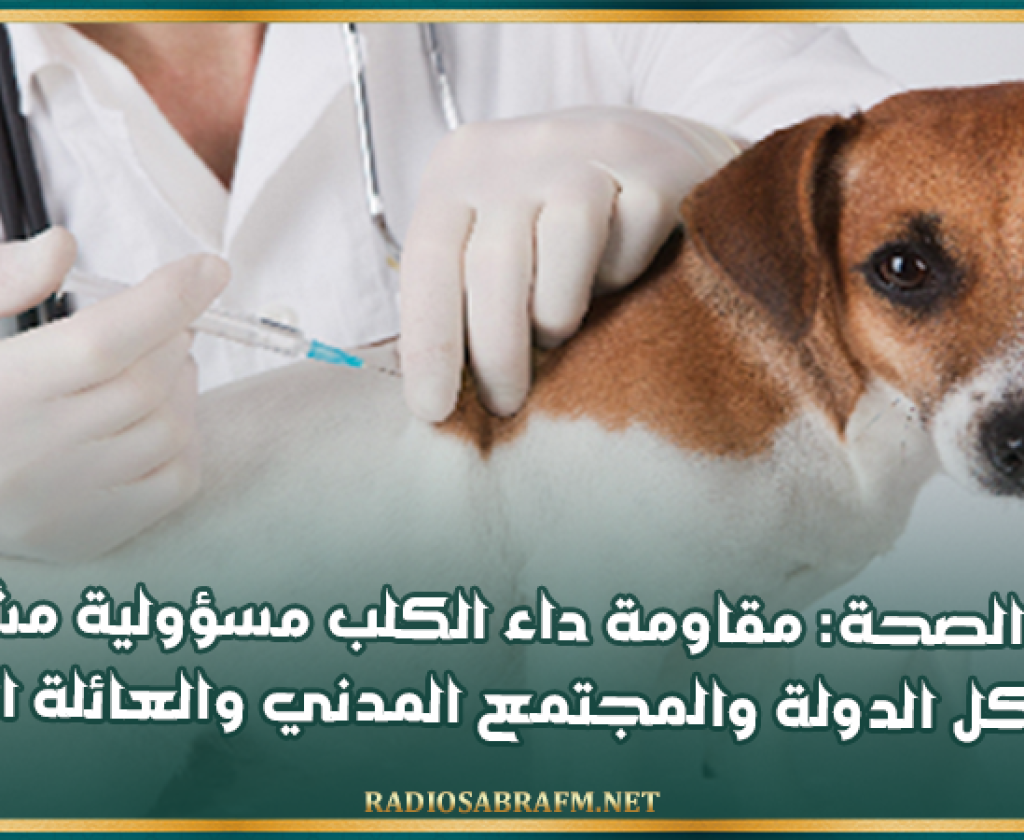 وزارة الصحة: مقاومة داء الكلب مسؤولية مشتركة بين هياكل الدولة والمجتمع المدني والعائلة التونسية