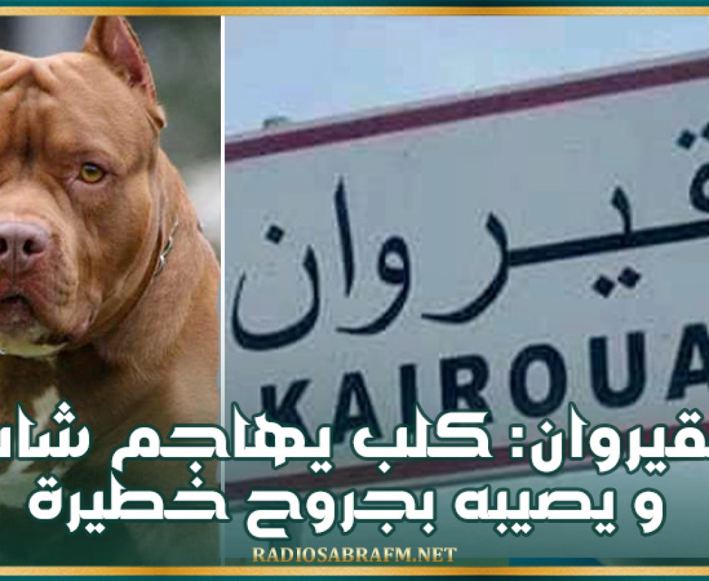 القيروان: كلب يهاجم شاب ويصيبه بجروح خطيرة (فيديو)