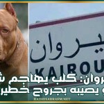 القيروان: كلب يهاجم شاب ويصيبه بجروح خطيرة (فيديو)