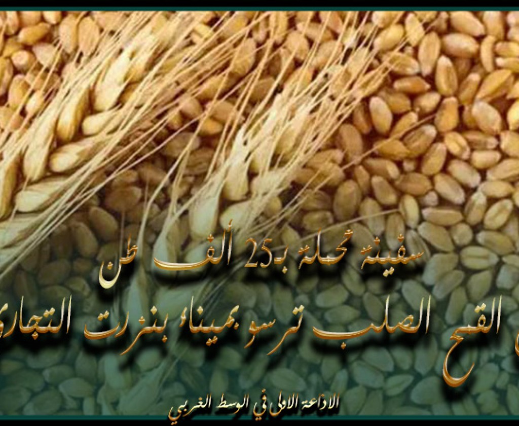 سفينة محملة بـ25 ألف طن من القمح الصلب ترسو بميناء بنزرت التجاري