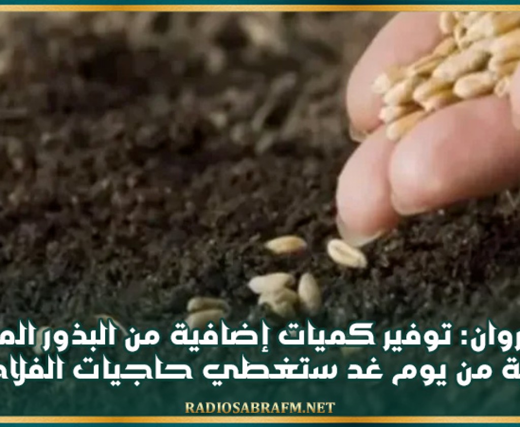 القيروان: توفير كميات إضافية من البذور المثبتة بداية من يوم غد ستغطي حاجيات الفلاحين
