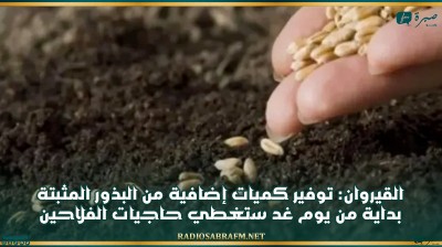 القيروان: توفير كميات إضافية من البذور المثبتة بداية من يوم غد ستغطي حاجيات الفلاحين