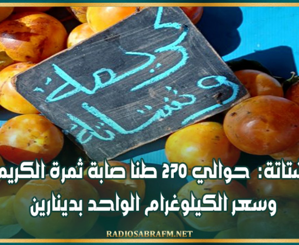 وشتاتة: حوالي 270 طنا صابة ثمرة الكريمة وسعر الكيلوغرام الواحد بدينارين