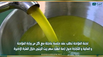 لجنة الفلاحة تطلب عقد جلسة عاجلة مع كل من وزارة الفلاحة و المالية و التجارة حول ازمة انهيار سعر زيت الزيتون خلال الفترة الاخيرة