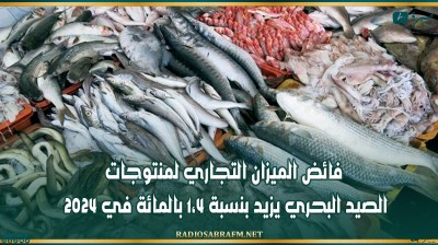 فائض الميزان التجاري لمنتوجات الصيد البحري يزيد بنسبة 1،4 بالمائة في 2024