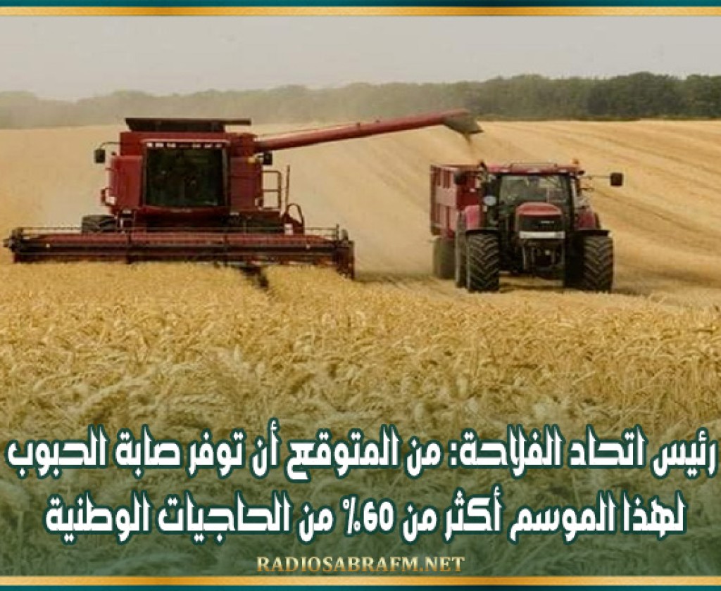 رئيس اتحاد الفلاحة: من المتوقع أن توفر صابة الحبوب لهذا الموسم أكثر من 60% من الحاجيات الوطنية
