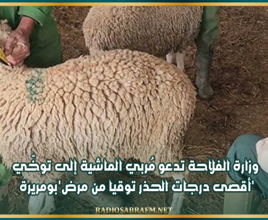 وزارة الفلاحة تدعو مُربي الماشية إلى توخّي أقصى درجات الحذر توقيا من مرض'بومريرة'