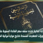 وزارة المالية تحدد سقف سعر الفائدة السنوية على التمويلات الصغرى المسندة خارج موارد ميزانية الدولة