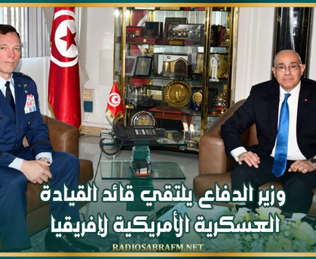 وزير الدفاع يلتقي قائد القيادة العسكرية الأمريكية لإفريقيا