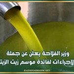 وزير الفلاحة يعلن عن جملة من الإجراءات لفائدة موسم زيت الزيتون
