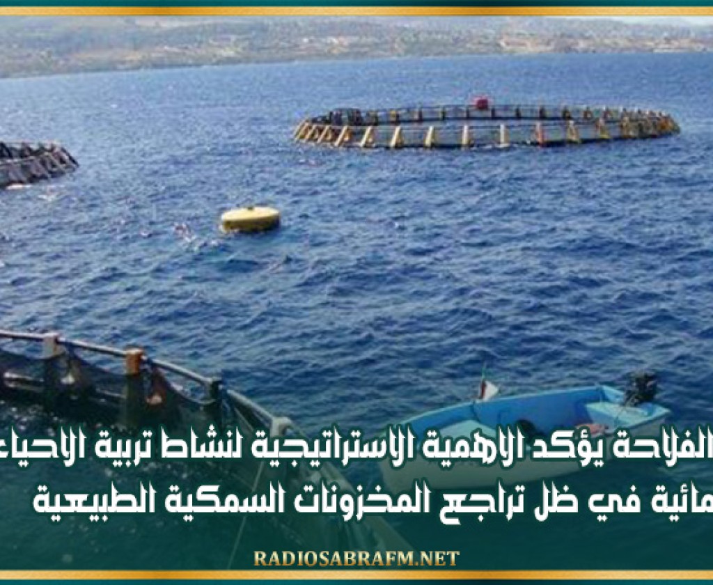 وزير الفلاحة يؤكد الاهمية الاستراتيجية لنشاط تربية الاحياء المائية في ظل تراجع المخزونات السمكية الطبيعية