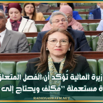 وزيرة المالية تُؤكد أن الفصل المتعلق بتوريد سيارة مستعملة ’’مكلف ويحتاج الى نص ترتييي’’