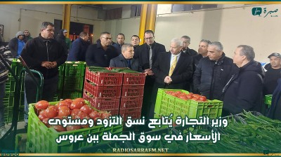 وزير التجارة يُتابع نسق التزود ومستوى الأسعار في سوق الجملة ببن عروس