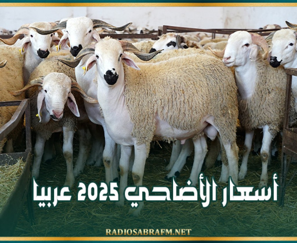 أسعار الأضاحي 2025 عربيا