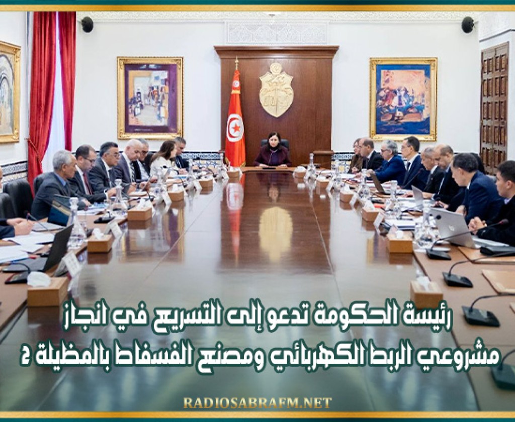 رئيسة الحكومة تدعو إلى التسريع في انجاز مشروعي الربط الكهربائي ومصنع الفسفاط بالمظيلة 2