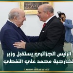 الرئيس الجزائري يستقبل وزير الخارجية محمد علي النفطي