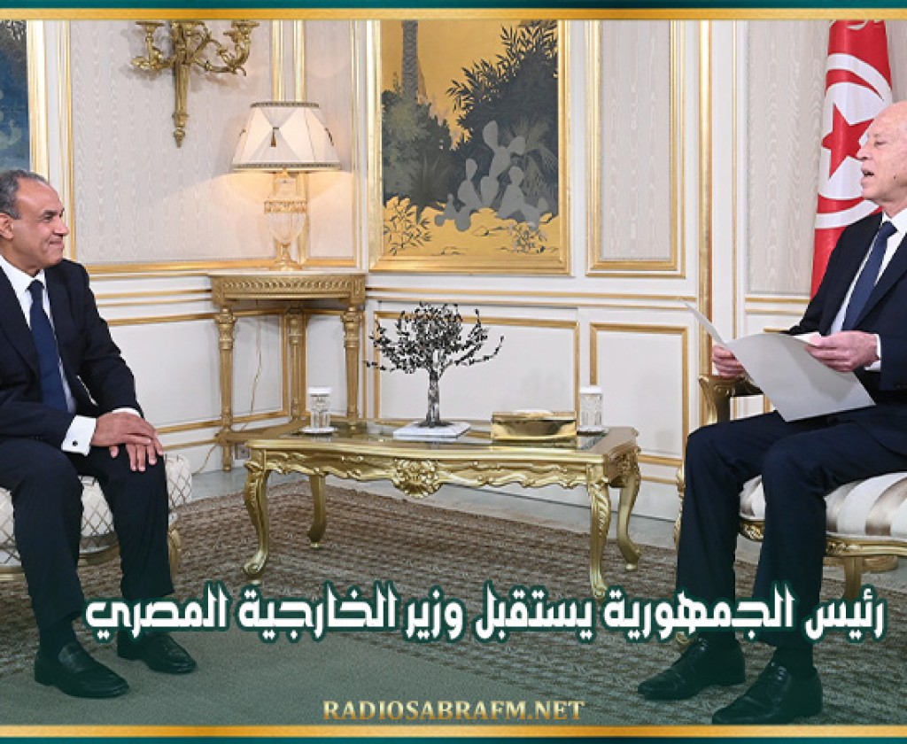 رئيس الجمهورية يستقبل وزير الخارجية المصري