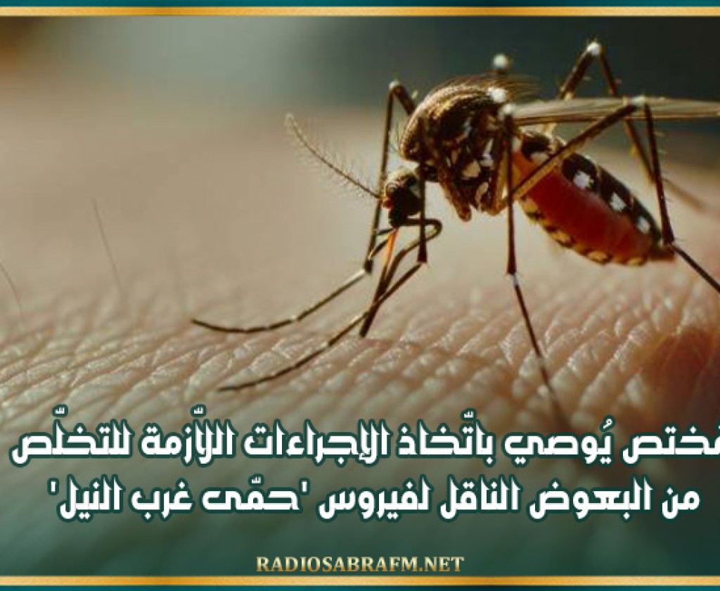 مُختص يُوصي باتّخاذ الإجراءات اللاّزمة للتخلّص من البعوض الناقل لفيروس 'حمّى غرب النيل'