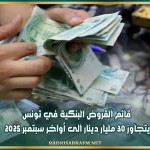 قائم القروض البنكية في تونس يتجاوز 30 مليار دينار الى أواخر سبتمبر 2025