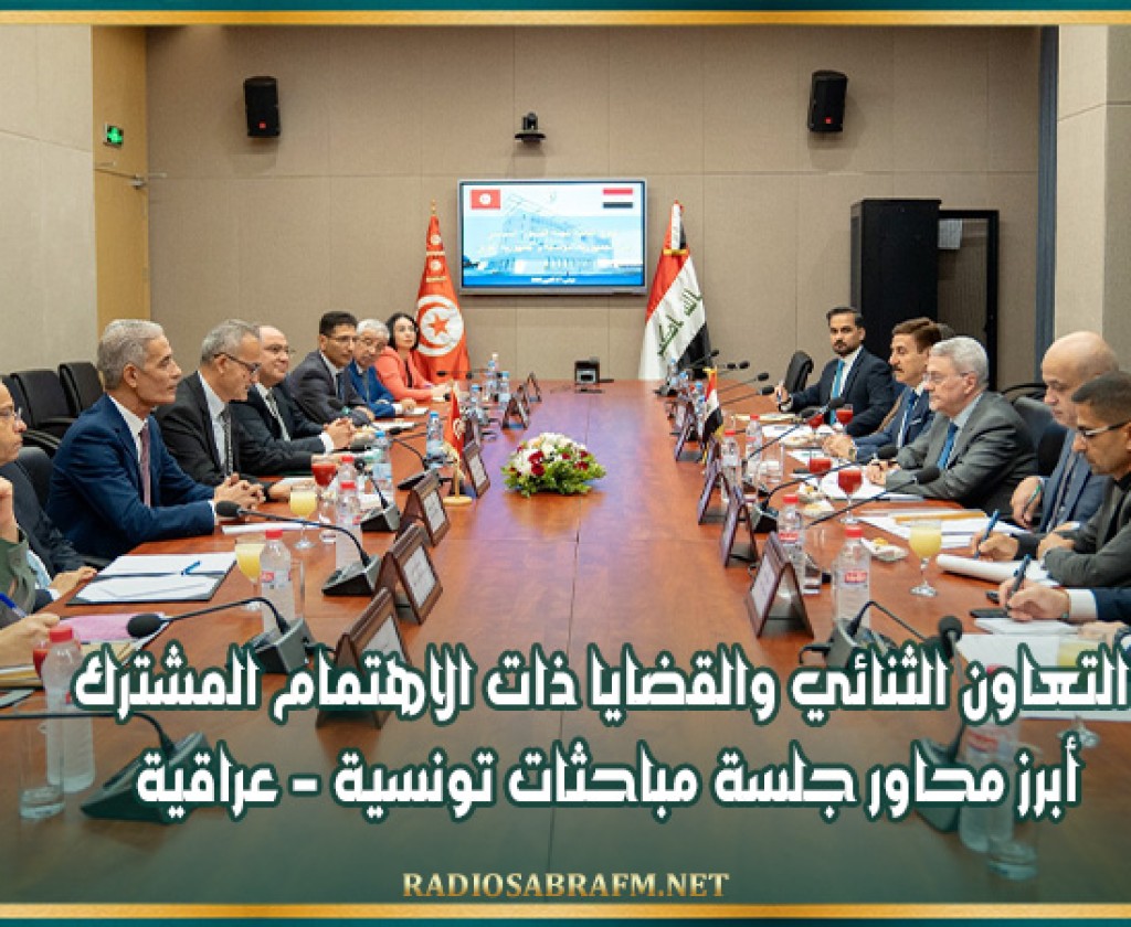 التعاون الثنائي والقضايا ذات الاهتمام المشترك أبرز محاور جلسة مباحثات تونسية - عراقية