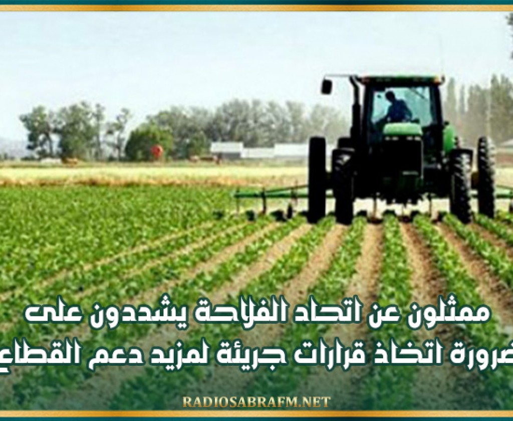 ممثلون عن اتحاد الفلاحة يشددون على ضرورة اتخاذ قرارات جريئة لمزيد دعم القطاع