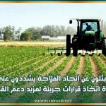 ممثلون عن اتحاد الفلاحة يشددون على ضرورة اتخاذ قرارات جريئة لمزيد دعم القطاع