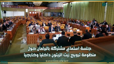 جلسة استماع مشتركة بالبرلمان حول منظومة ترويج زيت الزيتون داخليا وخارجيا