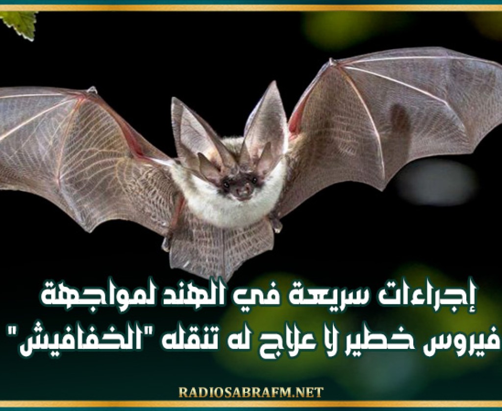 إجراءات سريعة في الهند لمواجهة فيروس خطير لا علاج له تنقله'الخفافيش'