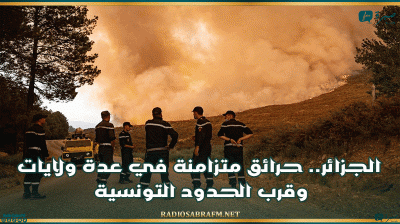 الجزائر.. حرائق متزامنة في عدة ولايات وقرب الحدود التونسية