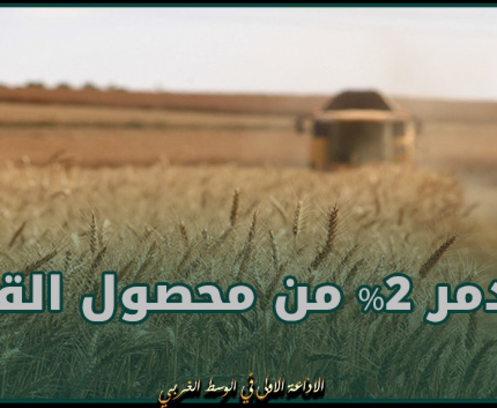 أوكرانيا.. الطقس سيدمر 2% من محصول القمح الشتوي في 2024