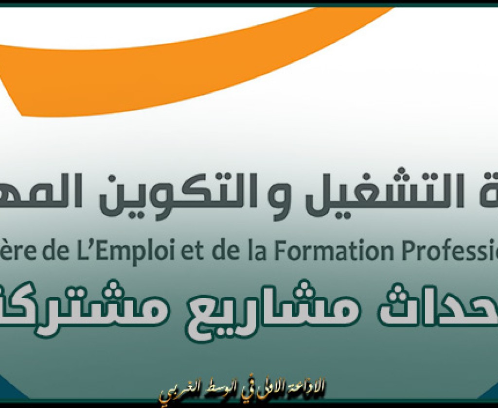 التمديد في آجال طلب تقديم الترشحات لإحداث مشاريع مشتركة بين أصحاب أفكار المشاريع في تونس والتونسيين المقيمين بالخارج