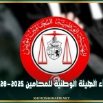 أعضاء الهيئة الوطنية للمحامين 2025-2028
