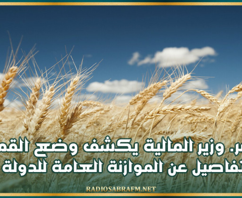 مصر. وزير المالية يكشف وضع القمح في البلاد وتفاصيل عن الموازنة العامة للدولة