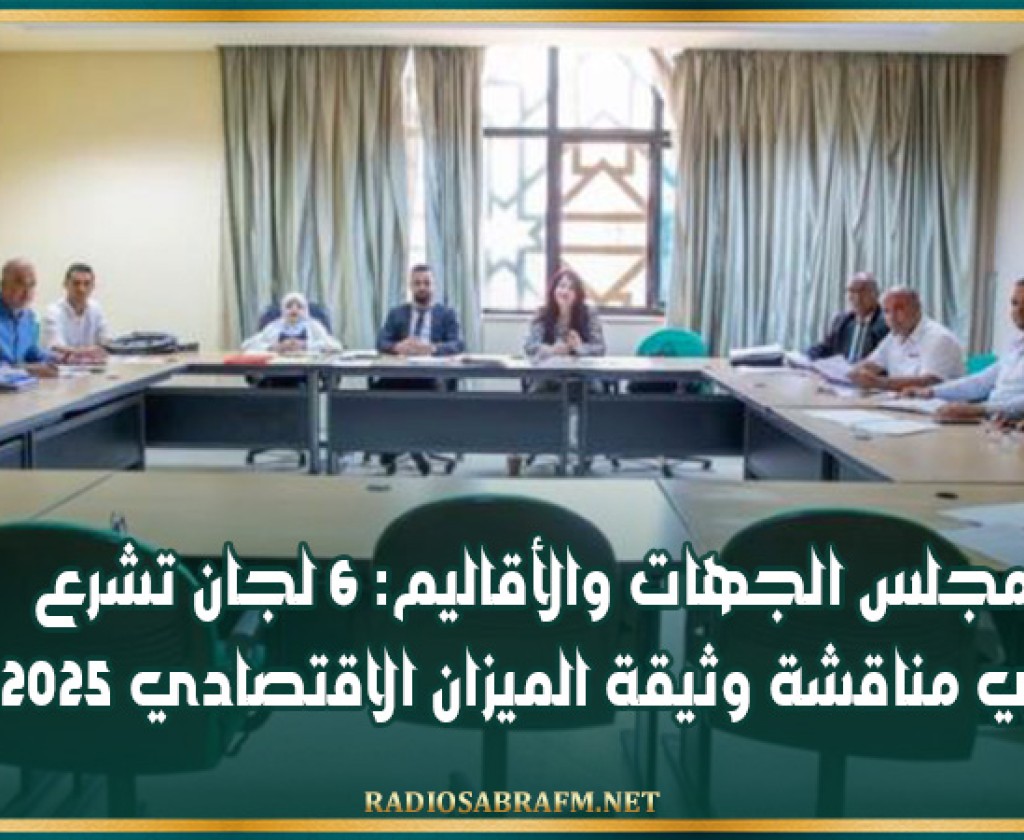 مجلس الجهات والأقاليم: 6 لجان تشرع في مناقشة وثيقة الميزان الاقتصادي 2025