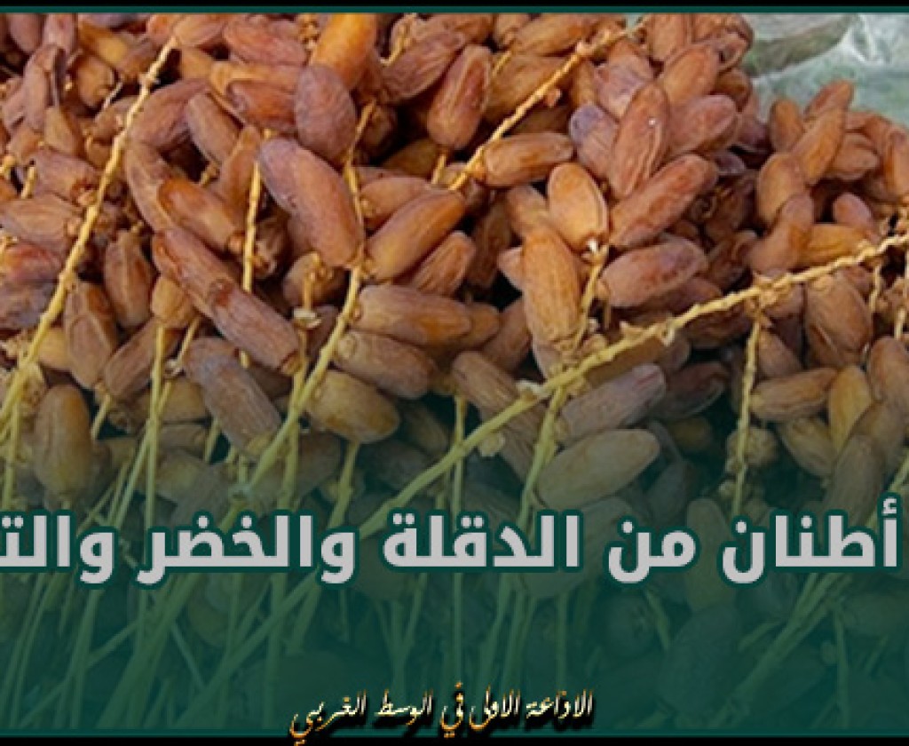 المنستير: حجز أطنان من الدقلة والخضر والتفاح