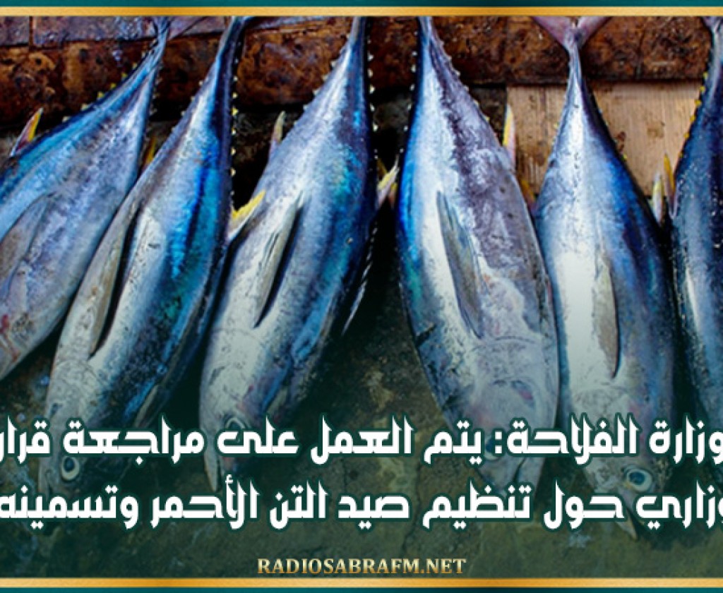 وزارة الفلاحة: يتم العمل على مراجعة قرار وزاري حول تنظيم صيد التن الأحمر وتسمينه
