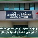 وزارة التجارة: تونس تحقق فائضا تجاريا مع فرنسا والمانيا وايطاليا