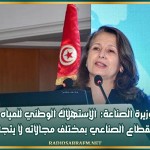 وزيرة الصناعة: 'الإستهلاك الوطني للمياه في القطاع الصناعي بمختلف مجالاته لا يتجاوز 2%'