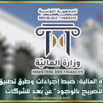 وزارة المالية: ضبط إجراءات وطرق تطبيق "التصريح بالوجود" عن بُعد للشركات