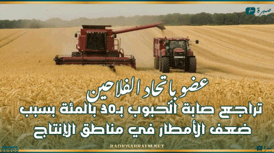 عضو بإتحاد الفلاحين: تراجع صابة الحبوب بـ30 بالمئة بسبب ضعف الأمطار في مناطق الإنتاج