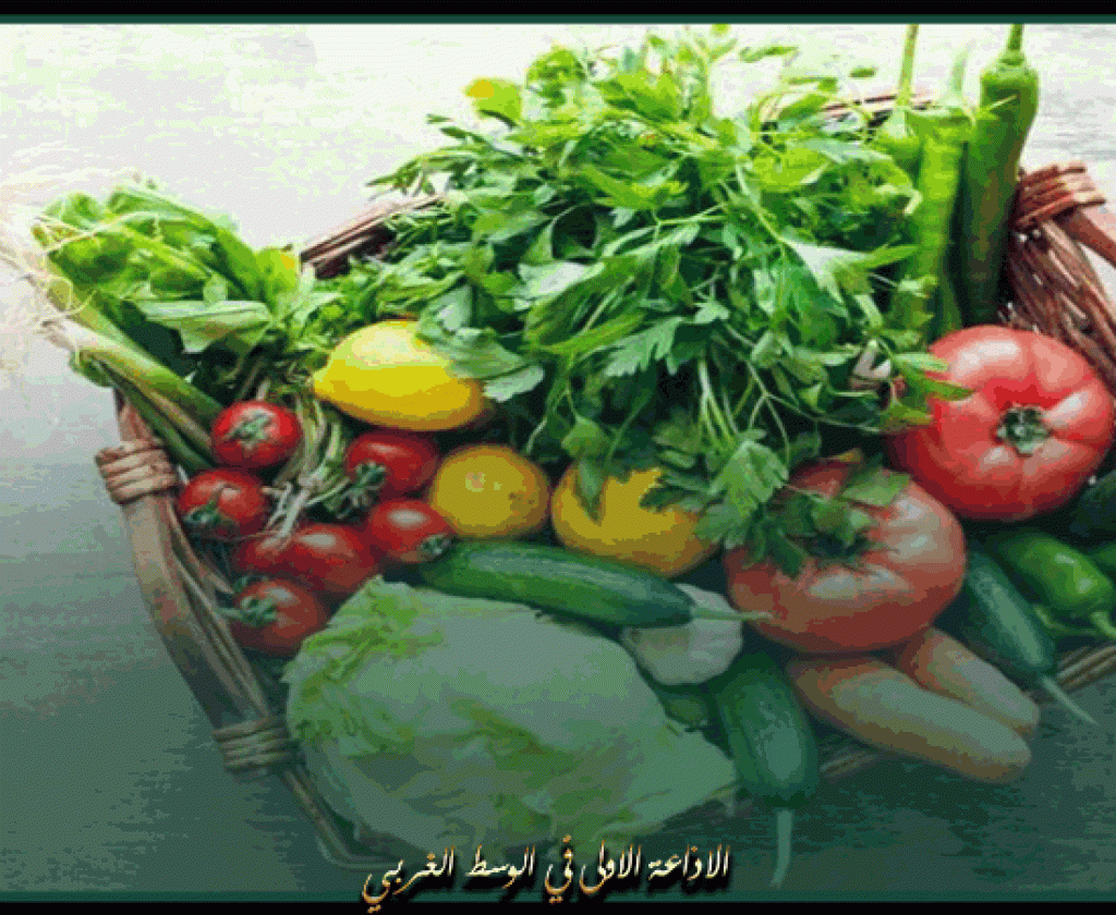 وزيرة التجارة: الخضر والغلال متوفرة والأسعار مقبولة