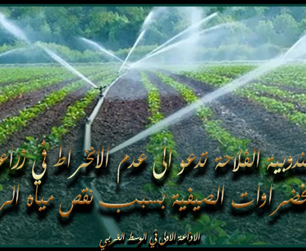 منوبة: مندوبية الفلاحة تدعو الى عدم الانخراط في زراعة الخضراوات الصيفية بسبب نقص مياه الري