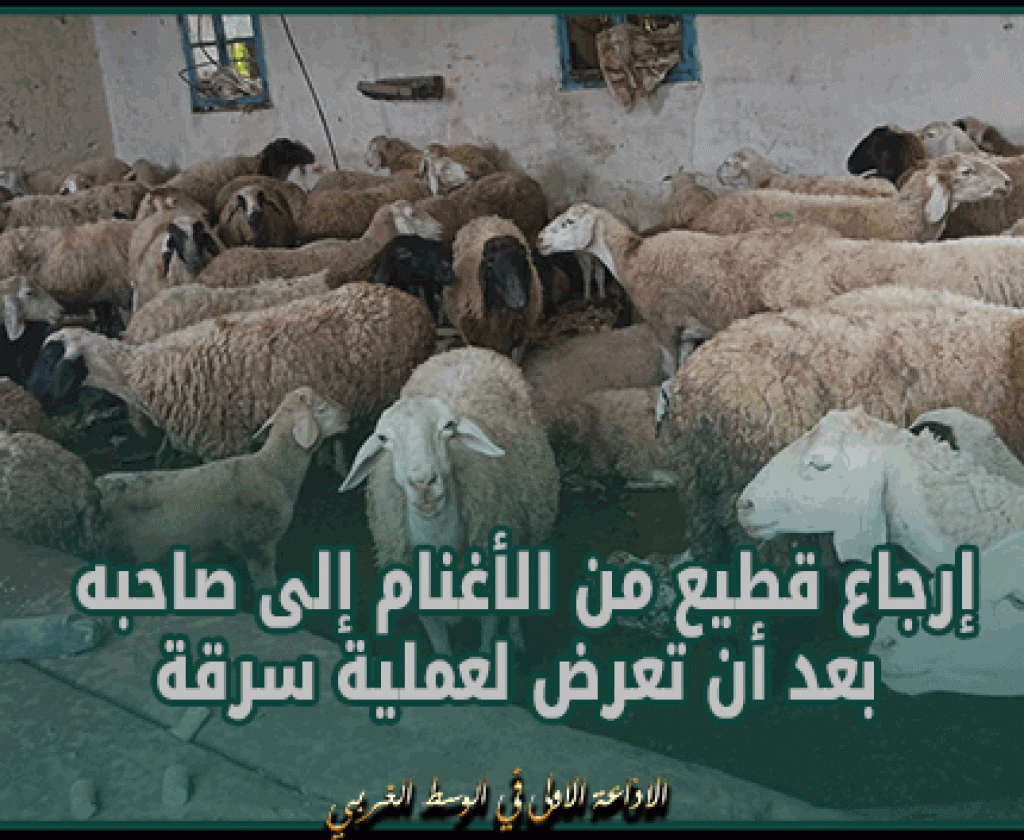 منوبة : الكشف عن مستودع عشوائي معد لبيع المواد الشبه طبية