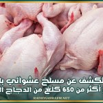 منوبة: الكشف عن مسلخ عشوائي بالمرناقية وحجز أكثر من 650 كلغ من الدجاج المذبوح